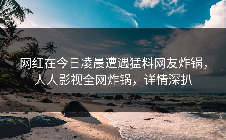 网红在今日凌晨遭遇猛料网友炸锅，人人影视全网炸锅，详情深扒